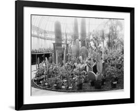 Central Park Cactus Show-null-Framed Photo