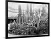 Central Park Cactus Show-null-Framed Photo