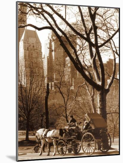 Central Park Carriage-Igor Maloratsky-Mounted Art Print