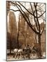 Central Park Carriage-Igor Maloratsky-Mounted Art Print