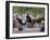 Central Park Carriage-George B. Luks-Framed Giclee Print