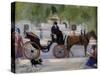 Central Park Carriage-George B. Luks-Stretched Canvas