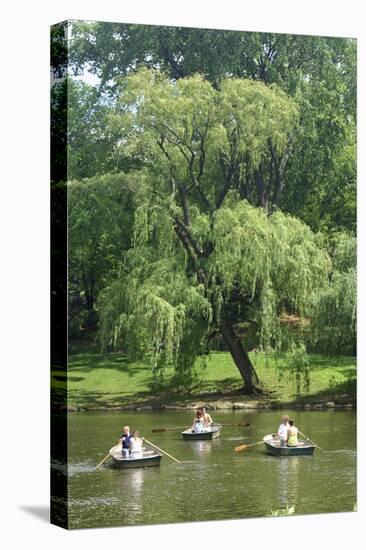 Central Park Couple I-Jeff Pica-Stretched Canvas