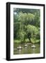 Central Park Couple I-Jeff Pica-Framed Photographic Print