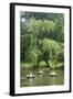 Central Park Couple I-Jeff Pica-Framed Photographic Print