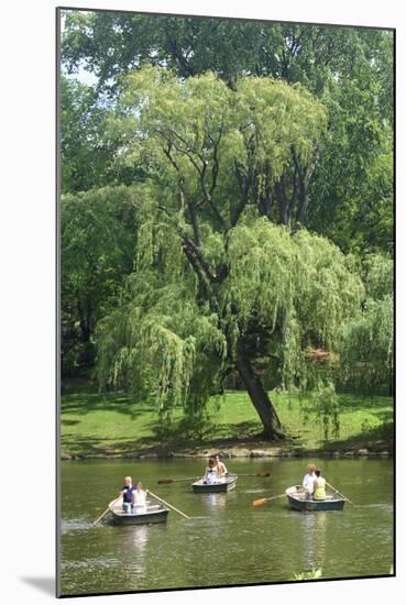 Central Park Couple I-Jeff Pica-Mounted Photographic Print