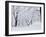 Central Park Covered in Snow, NYC-Shmuel Thaler-Framed Premium Photographic Print