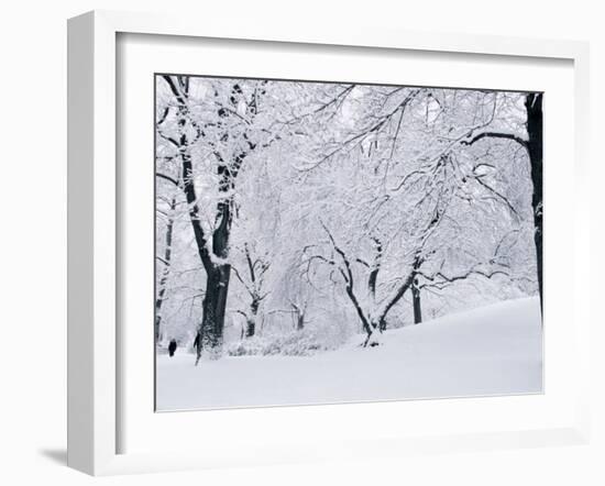 Central Park Covered in Snow, NYC-Shmuel Thaler-Framed Premium Photographic Print