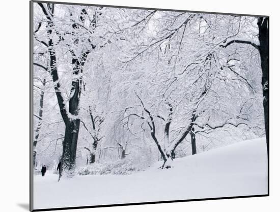 Central Park Covered in Snow, NYC-Shmuel Thaler-Mounted Premium Photographic Print