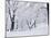 Central Park Covered in Snow, NYC-Shmuel Thaler-Mounted Premium Photographic Print