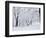 Central Park Covered in Snow, NYC-Shmuel Thaler-Framed Photographic Print