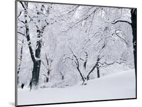 Central Park Covered in Snow, NYC-Shmuel Thaler-Mounted Photographic Print
