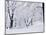 Central Park Covered in Snow, NYC-Shmuel Thaler-Mounted Photographic Print