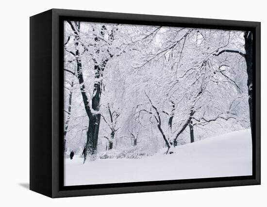 Central Park Covered in Snow, NYC-Shmuel Thaler-Framed Stretched Canvas