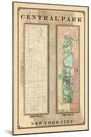 Central Park Development Composition 1815-1867, New York, United States, 1867-null-Mounted Giclee Print