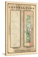 Central Park Development Composition 1815-1867, New York, United States, 1867-null-Stretched Canvas