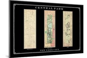 Central Park Development Composition1815-1885 - dark, New York, United States, 2007-null-Mounted Giclee Print