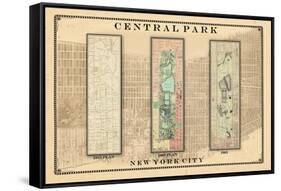 Central Park Development Composition1815-1885 - light, New York, United States, 2007-null-Framed Stretched Canvas