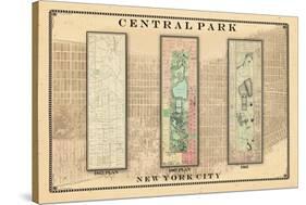 Central Park Development Composition1815-1885 - light, New York, United States, 2007-null-Stretched Canvas