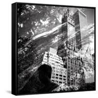 Central Park Double-Evan Morris Cohen-Framed Stretched Canvas