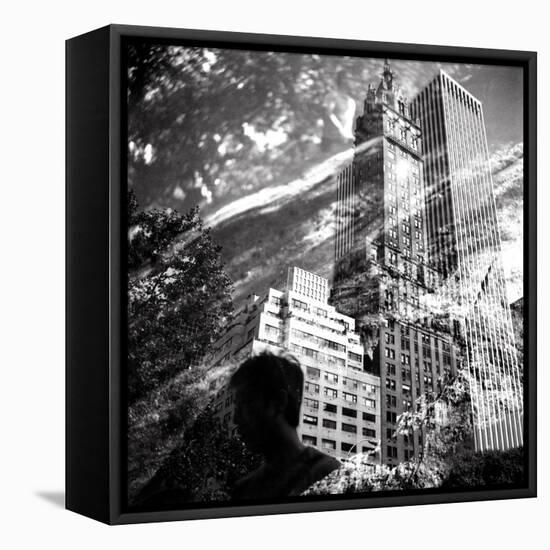 Central Park Double-Evan Morris Cohen-Framed Stretched Canvas