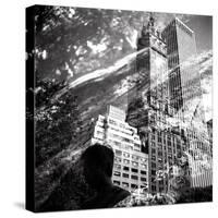 Central Park Double-Evan Morris Cohen-Stretched Canvas