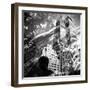 Central Park Double-Evan Morris Cohen-Framed Photographic Print