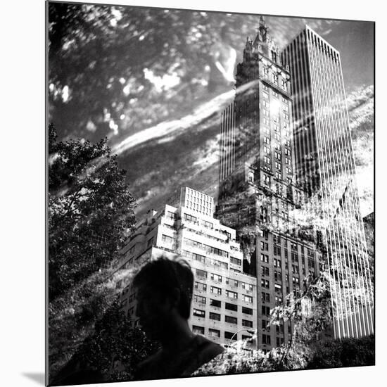 Central Park Double-Evan Morris Cohen-Mounted Photographic Print