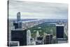 Central Park from Above, New York City-Fraser Hall-Stretched Canvas