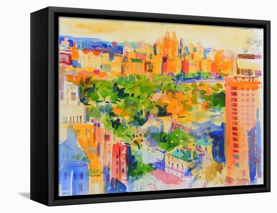 Central Park from The Carlyle-Peter Graham-Framed Stretched Canvas
