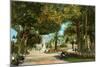 Central Park Gardens, Havana, Cuba-null-Mounted Art Print