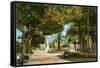 Central Park Gardens, Havana, Cuba-null-Framed Stretched Canvas