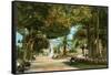 Central Park Gardens, Havana, Cuba-null-Framed Stretched Canvas