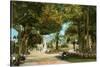 Central Park Gardens, Havana, Cuba-null-Stretched Canvas