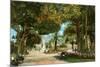 Central Park Gardens, Havana, Cuba-null-Mounted Premium Giclee Print