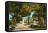 Central Park Gardens, Havana, Cuba-null-Framed Stretched Canvas