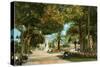 Central Park Gardens, Havana, Cuba-null-Stretched Canvas