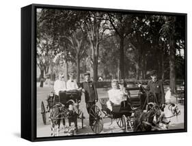 Central Park, Goat Carriages in the Park, New York, N.Y.-null-Framed Stretched Canvas