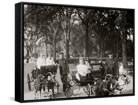 Central Park, Goat Carriages in the Park, New York, N.Y.-null-Framed Stretched Canvas