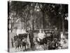 Central Park, Goat Carriages in the Park, New York, N.Y.-null-Stretched Canvas