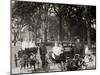 Central Park, Goat Carriages in the Park, New York, N.Y.-null-Mounted Photo