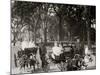 Central Park, Goat Carriages in the Park, New York, N.Y.-null-Mounted Photo