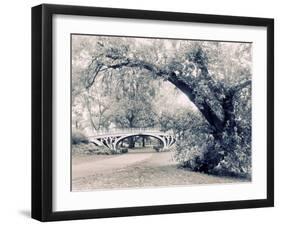 Central Park Gothic-Jessica Jenney-Framed Photographic Print