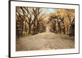 Central Park I-Tim Wampler-Framed Art Print