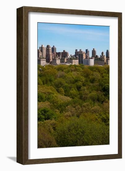 Central Park I-Erin Berzel-Framed Photographic Print