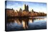 Central Park in Autumn-Philippe Hugonnard-Stretched Canvas