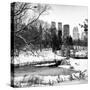 Central Park in the Snow-Philippe Hugonnard-Stretched Canvas