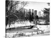 Central Park in the Snow-Philippe Hugonnard-Stretched Canvas