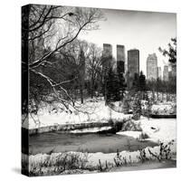 Central Park in the Snow-Philippe Hugonnard-Stretched Canvas