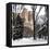 Central Park in the Snow-Philippe Hugonnard-Framed Stretched Canvas